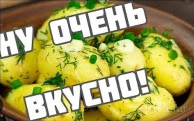 10 самых популярных сортов картофеля. Описание и фото — Ботаничка