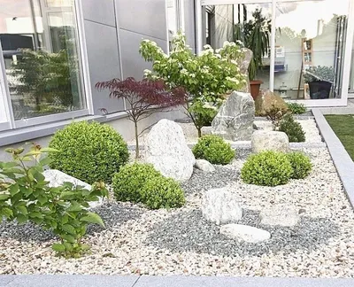 Как легко и просто организовать гравийный сад на своем участке?
