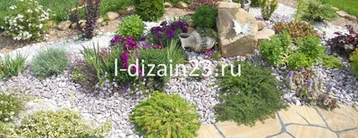 Как сделать гравийный сад | SMS LANDSCAPE DESING