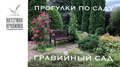 красивый гравийный сад с различными растениями во дворе Стоковое Фото -  изображение насчитывающей ботаническую, сад: 251484892
