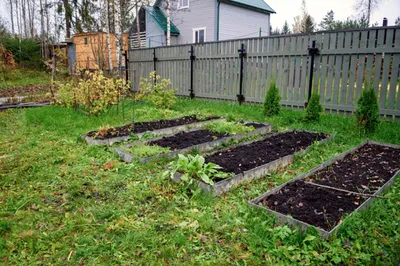 Как сделать умную грядку своими руками | Огородовед.com | Дзен