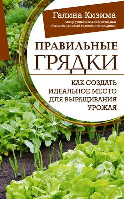 Отзывы о «Тавор Грядка», Воронеж, Солнечная улица, 7Д — Яндекс Карты