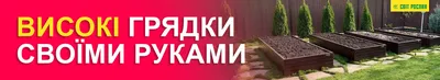 Чем огородить грядки на даче дешево | 20 фото-идей для огорода