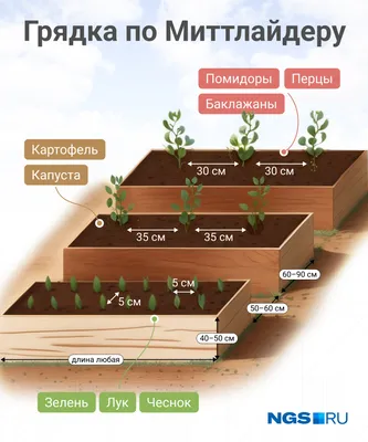 5 самых \"модных\" грядок! Выбираем между Миттлайдером, Курдюмовым, Лядовым,  Розумом и Бубликом | Огородничество, Вертикальные огороды, Маленькие огороды