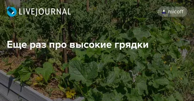 🌿Как сделать грядки своими руками. Ограждения для грядок на даче. Чем  огородить грядки на даче