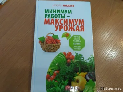 ВЫСОКИЕ ГРЯДКИ! Как легко сделать ТЕПЛЫЕ высокие грядки! Инструкция высоких  грядок. - YouTube