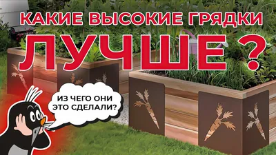 Как сделать грядки своими руками в огороде: метод Митлайдера, Курдюмова,  как сделать высокие и теплые грядки - 5 мая 2023 - НГС