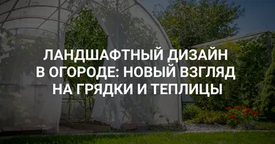 Страховщики ждут увеличения числа дачных краж этой осенью - Недвижимость  РИА Новости, 26.10.2022