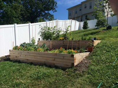 Staking melons | Sloped backyard landscaping, Sloped garden, Raised garden