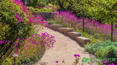 Красивые грядки из кирпича. 12 фото лучших идей для творчества | Building a  raised garden, Garden beds, Diy raised garden