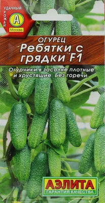 Грядка для огурцов в открытом грунте: как сделать своими руками | ivd.ru