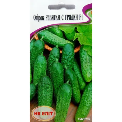 Желаем вам красивых грядок и богатого урожая!🥒🥒🥒 #огурцы  #seedspost_ru_ins #грядка #шпалера #огурцы | Instagram