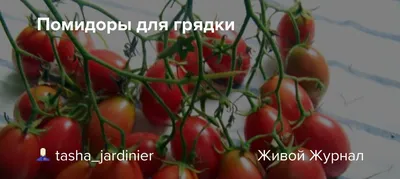 Бесплатное изображение: помидор, еда, овощи, питание, вкусно, помидоры, Херб