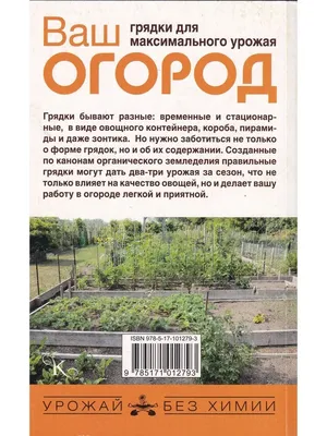 Грядки с овощами на огороде» — создано в Шедевруме