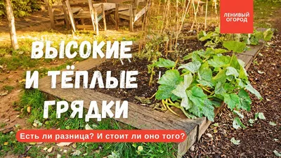 Комплект табличек \"Огород\" для грядок 12 предметов - Образовательная среда