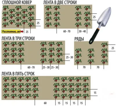 Психолог вне работы