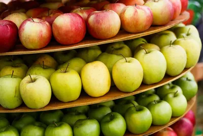 Загадка ковра из яблок в ирландском саду: что же произошло? - BBC News  Русская служба