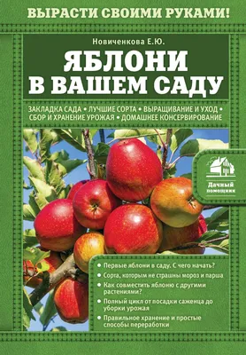 яблоки на дереве растут в поле, осень, фруктовый сад, поездки внутри страны  фон картинки и Фото для бесплатной загрузки