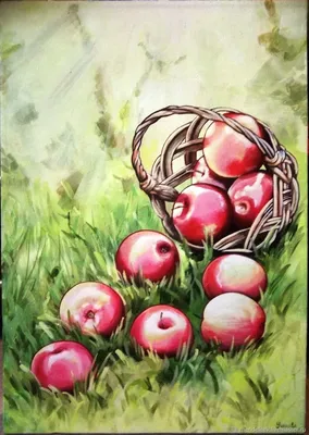 Яблоки в саду (54 фото) - 54 фото