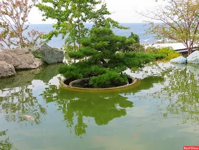 Японский сад в самом дорогом отеле Крыма