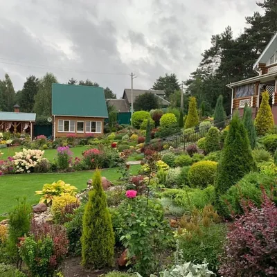 Уникальный сад для детей с лужайкой, аттракционами и грядками | Проекты  садов | Журнал «Дом и сад»