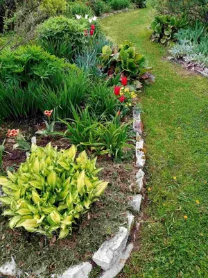 идеальный загородный сад стоковое фото. изображение насчитывающей мирно -  241565616