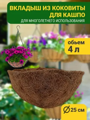 В гостях: Сад в идеальной форме... круга | Houzz Россия
