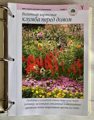 Тренды ландшафтного дизайна садового участка 2022 года – блог  интернет-магазина Порядок.ру