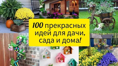 Источник вдохновения: шикарные цветочные идеи для сада и дачи | Shade  garden design, Small front yard landscaping, Porch landscaping