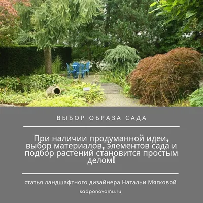 Идеи сада и дачи! Сборник идей.50 original garden and garden ideas.DIY... |  TikTok