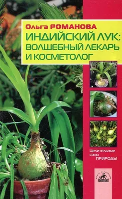 Индийский лук (птицемлечник хвостатый) вместе с горшком. - Барахолка  onliner.by