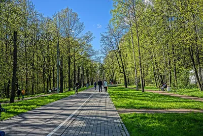 Измайловский парк: самый большой и чистый парк Москвы