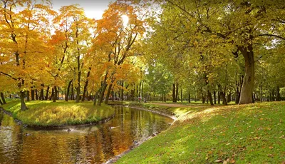 Измайловский парк — Узнай Москву