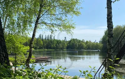 Таврический сад в Санкт-Петербурге