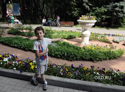 Измайловский парк летом 2015 года в фотографиях пользователей OSD.RU (25  фото), автор: Редакция OSD.RU - фотоальбом - Отдых с детьми - OSD.RU