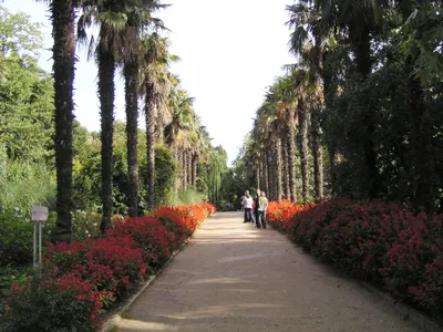 Наталия Шулепина: «Ботанический сад — это достояние страны, которое  профукать ничего не стоит» – Газета.uz
