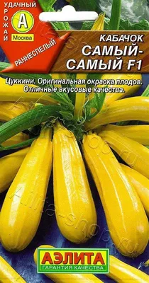 Этот овощ станет вашим любимчиком— кабачок \"Золотой гребешок\" | ТАЁЖКА №8 |  Дзен