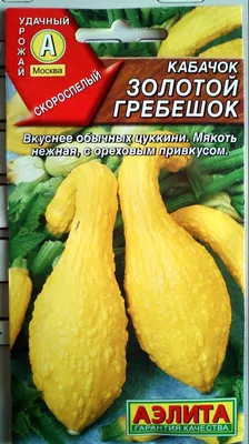 Кабачки Гавриш Кабачков - купить по выгодным ценам в интернет-магазине OZON  (831067352)