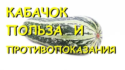 Кабачок Желтоплодный — Рассада цветов и овощей.