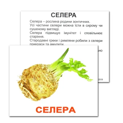 Сколько на рынках Запорожья стоят сезонные фрукты и овощи (ФОТО). Читайте  на UKR.NET