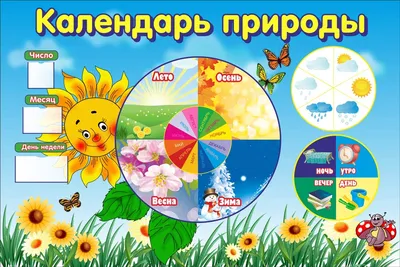 Календарь природы в детском саду фото фотографии