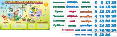 Купить Стенд Календарь природы в стиле берёзка с карточками 800*650 мм 📄 с  доставкой по Беларуси | интернет-магазин Stendy.by