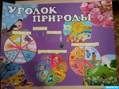 Стенд Календарь природы, 50*30см: купить для школ и ДОУ с доставкой по всей  России