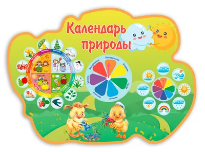 Календарь природы для детского сада \"Хризантема\". Цены от производителя
