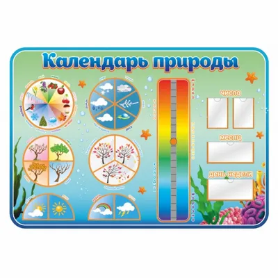 Календарь природы для детского сада - Стенды от производителя в Арзамасе -  арт-мастерская SOWA