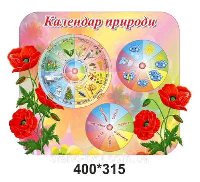 Игровой стенд \" Календарь природы \" для детского сада, с магнитным  термометром - купить с доставкой по выгодным ценам в интернет-магазине OZON  (790171577)