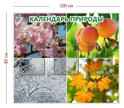 Стенд для детского сада \"Календарь природы\" (ID#387741310), цена: 99 ₴,  купить на Prom.ua