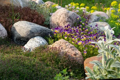 Камни для ландшафтного дизайна: разновидности и варианты использования -  статьи о растениях