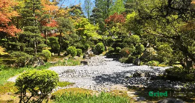 Дорожки из природного декоративного камня в саду: укладка булыжника - 12  фото