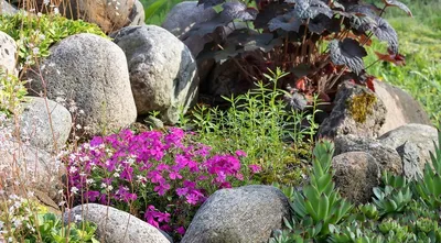 Камни в японском саду: как их выбрать и выложить на участке
